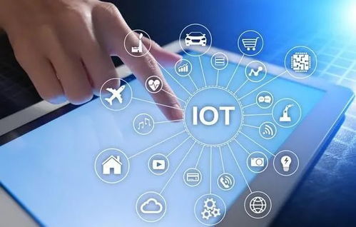 王思聰瞄準沉浸式體驗新風口 普思資本入股UMEplay，布局真人互動游戲劇