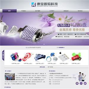 四川網站制作哪家強？美觀、價格與廠家選擇全解析